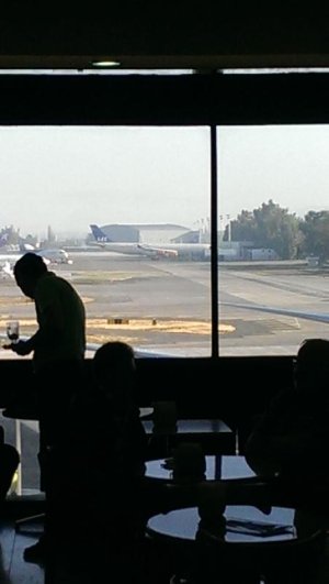 IMAG0544.jpg