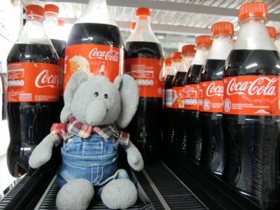 IMG_1780 (1024x768).jpg