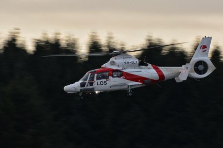 DSC_7316.jpg