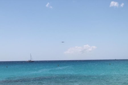 IMG_7770.jpg
