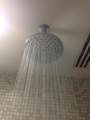 IMG_6246 (Medium).jpg