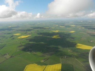 DSCN7925.jpg