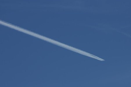 IMG_6190.jpg