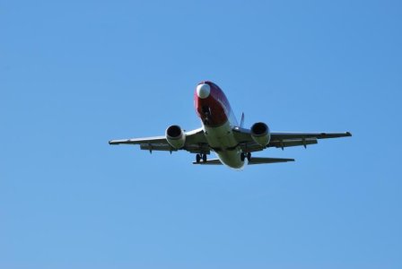 DSC_0009.jpg