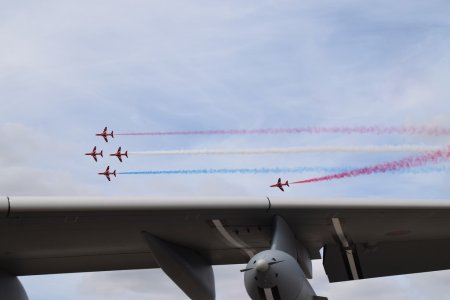 19985794480_43456d6394_b.jpg