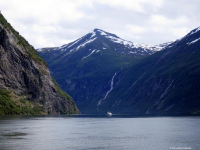 IMG_7317.jpg