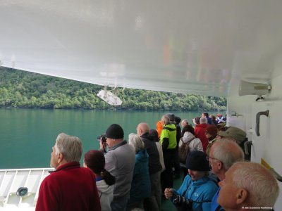 IMG_7331.jpg