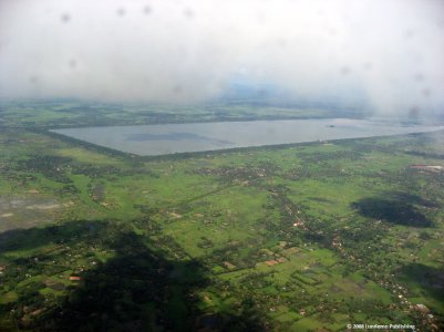 Everglades_7.jpg