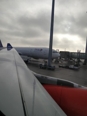 fly1.jpg
