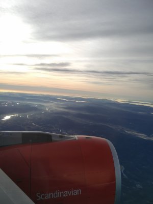 fly2.jpg