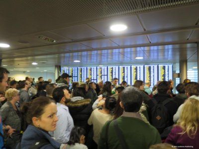 IMG_6229.jpg