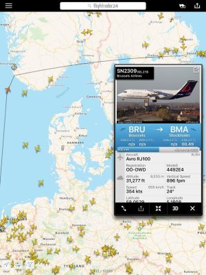 BEL2YB-6.jpg