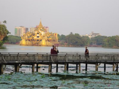 IMG_3772.jpg