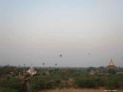 IMG_4358.jpg
