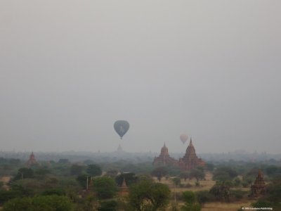 IMG_4376.jpg