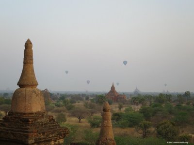 IMG_4422.jpg
