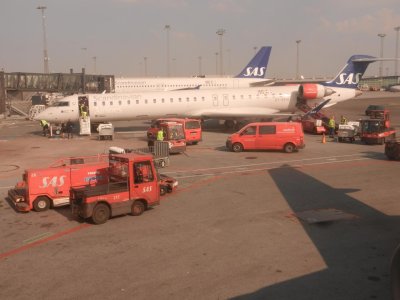 DSCN9273.jpg