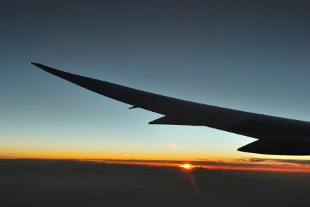DSC_0398.jpg