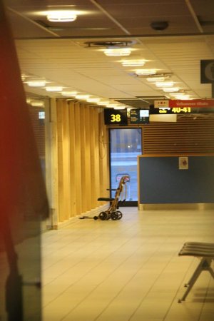IMG_9405.jpg