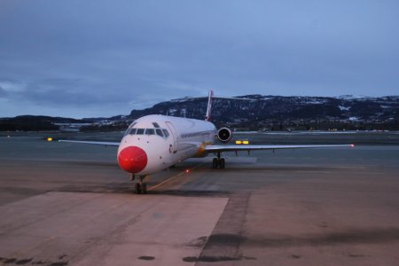 IMG_7304.jpg