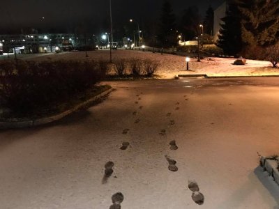 1-snø.jpg