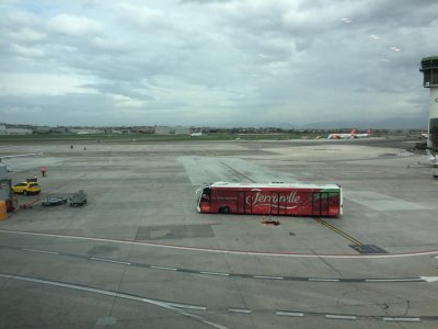 IMG_1736.jpg