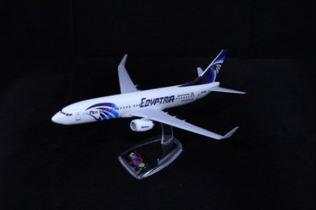 MS738-2.jpg