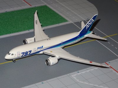 ANA BOEING 787-800.JPG