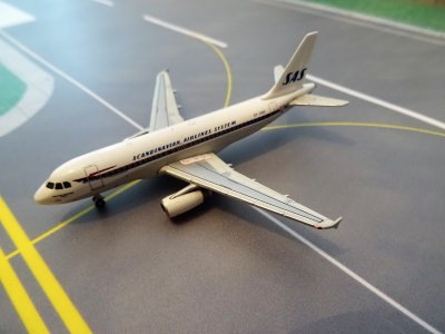 SAS AIRBUS 319.JPG