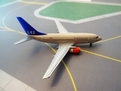 SAS BOEING 737-600.JPG