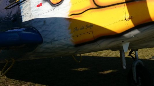DSC_0596 (2).jpg