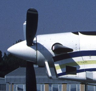 Fly01.jpg