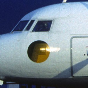 Fly03.jpg