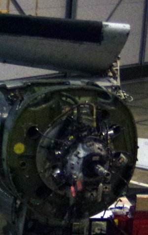 Motor.jpg