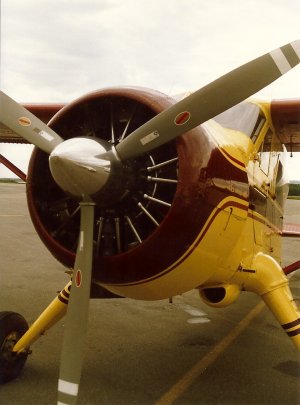 skann0014.jpg