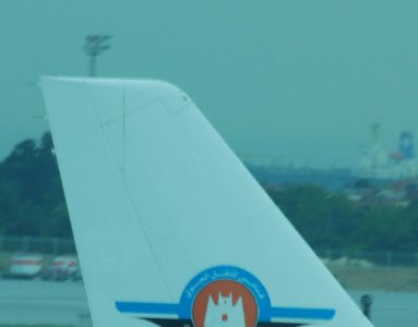 flypX2.jpg