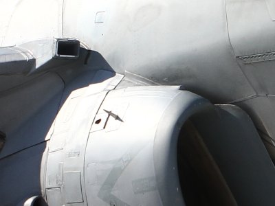 flyprat.jpg