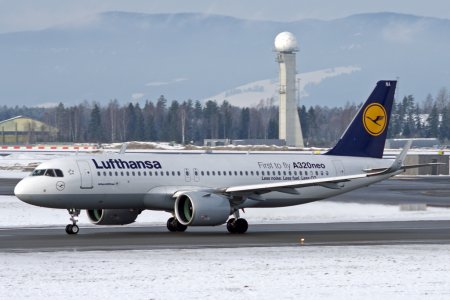 D-AINA.jpg