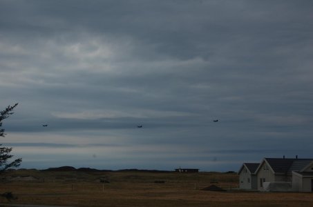 DSC_0098.jpg