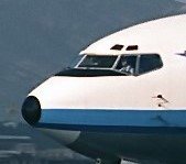 nose.jpg