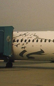 skann0010 (2).jpg