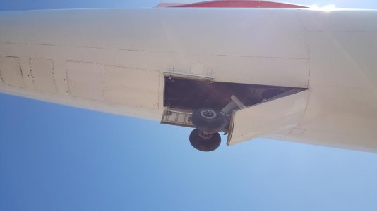 fly.jpg