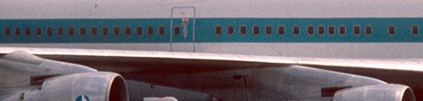 Fly.jpg