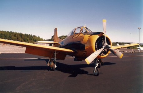 skann0020.jpg