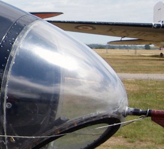 Nose.jpg