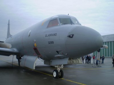 P4260048.jpg