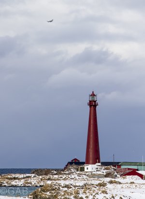 IMG_0727.jpg