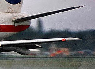 tail.jpg