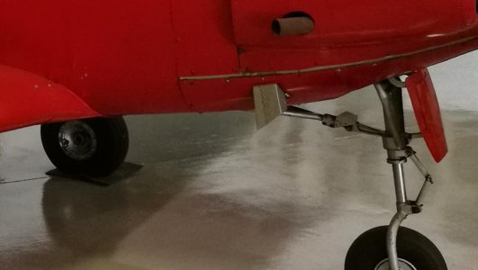 IMG_20170509_114833.jpg