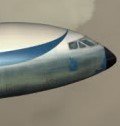 FlyselskX.jpg
